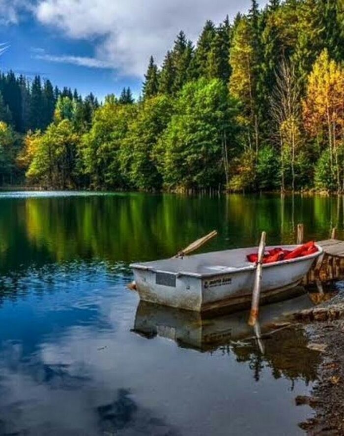 Artvin Evden Eve Nakliyat