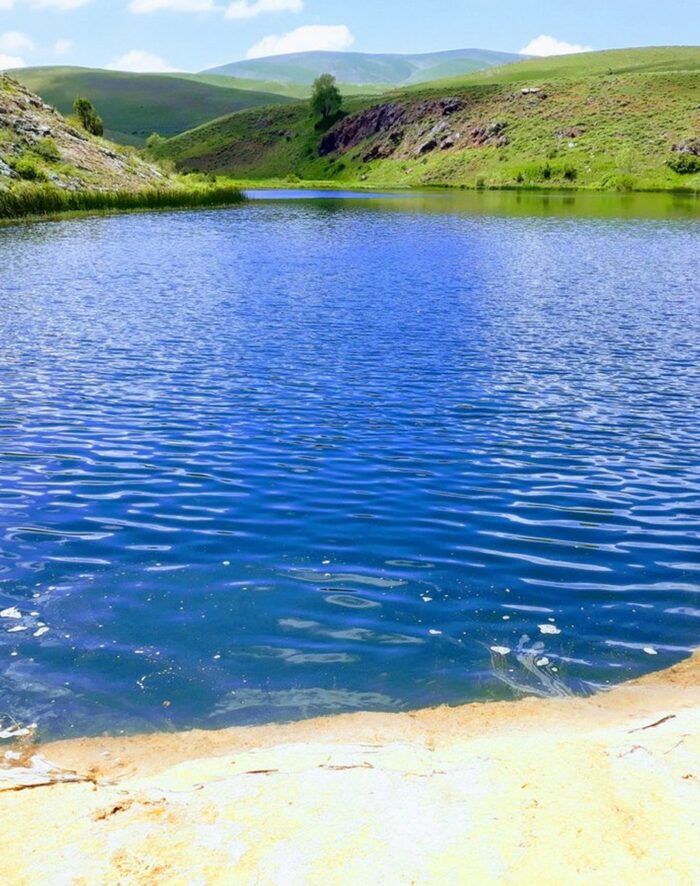 Erzincan Evden Eve Nakliyat