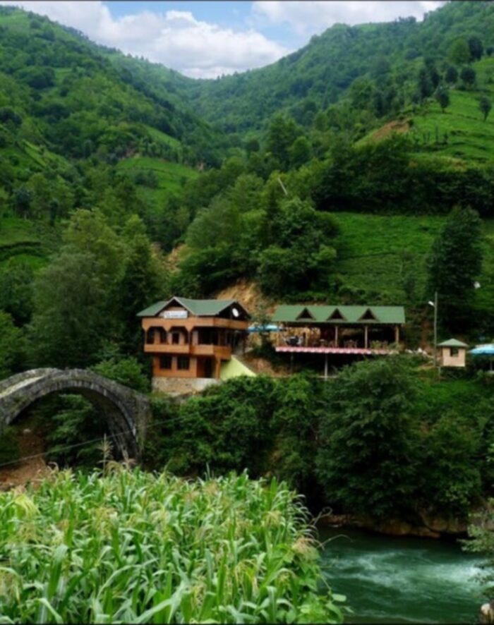 Rize Evden Eve Nakliyat