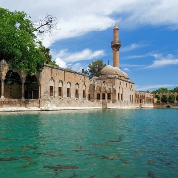 Şanlıurfa Evden Eve Nakliyat