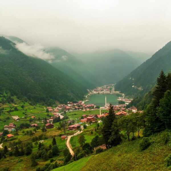 Trabzon Evden Eve Nakliyat