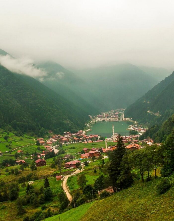 Trabzon Evden Eve Nakliyat