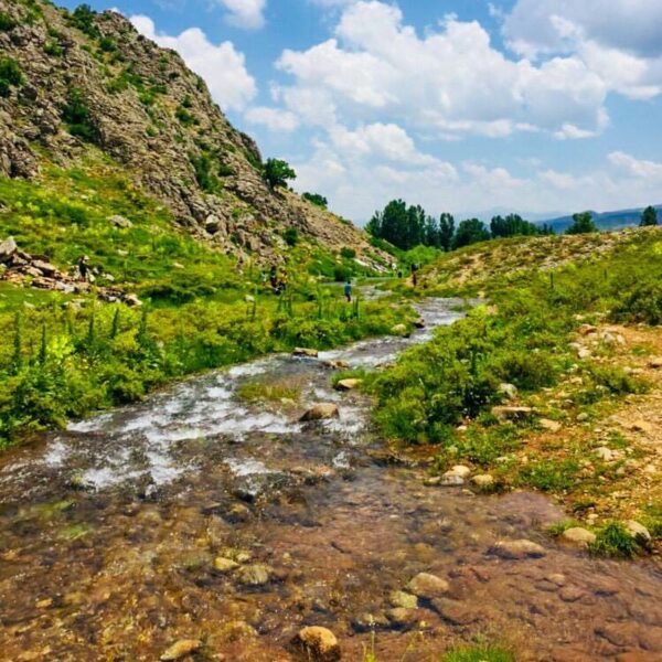 Tunceli Evden Eve Nakliyat