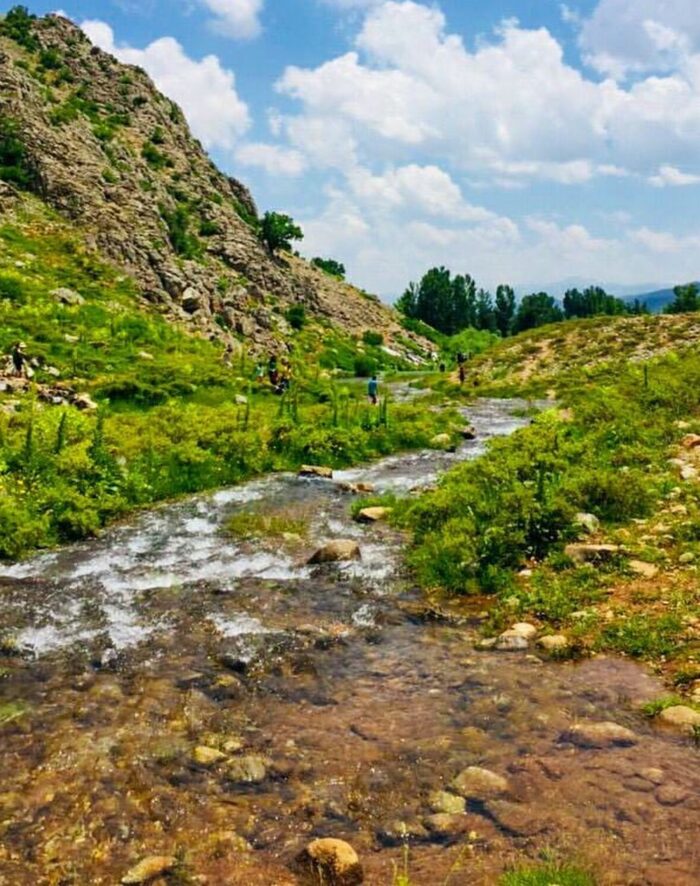 Tunceli Evden Eve Nakliyat